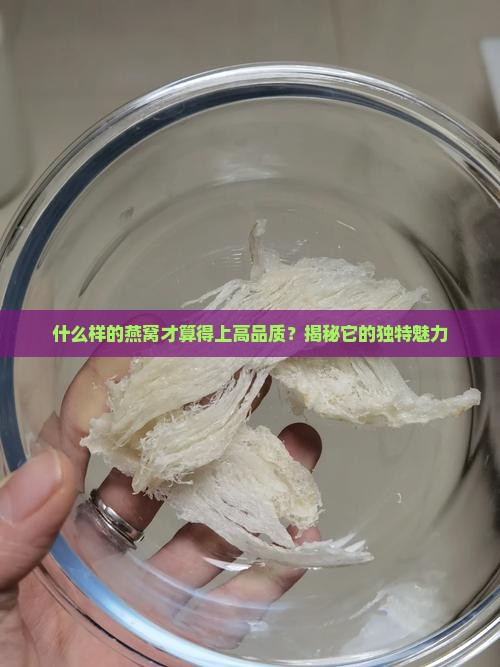 高品质燕窝有哪些特点
