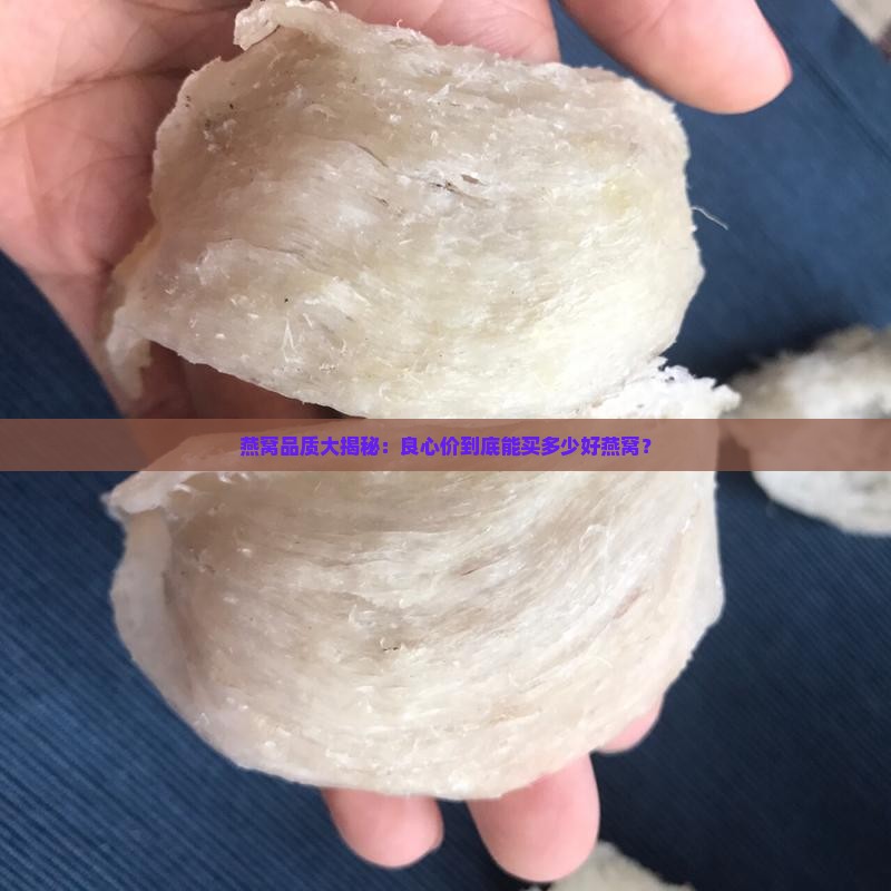 一片好燕窝多少钱一斤
