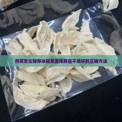 燕窝怎么储存冰箱里面