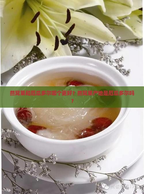 燕窝果和厄瓜多尔哪个好