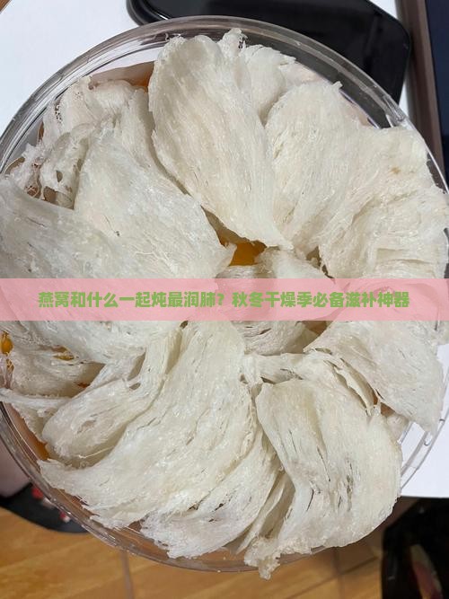 燕窝和什么一起炖最润肺