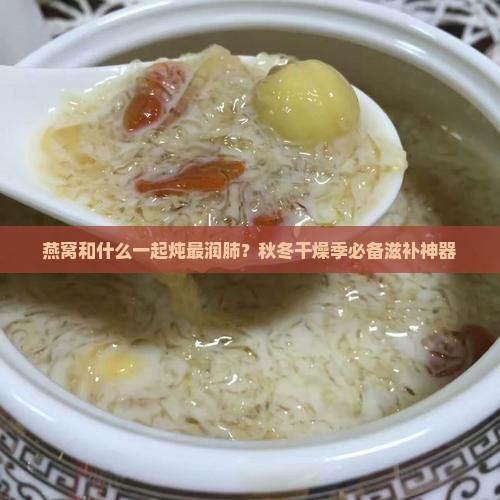燕窝和什么一起炖最润肺