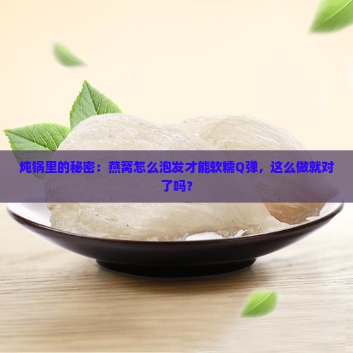燕窝泡发用炖锅吗怎么做