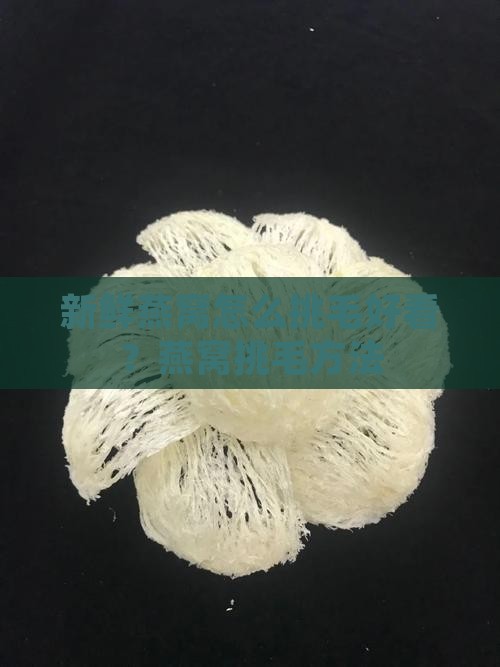 新鲜燕窝怎么挑毛好看