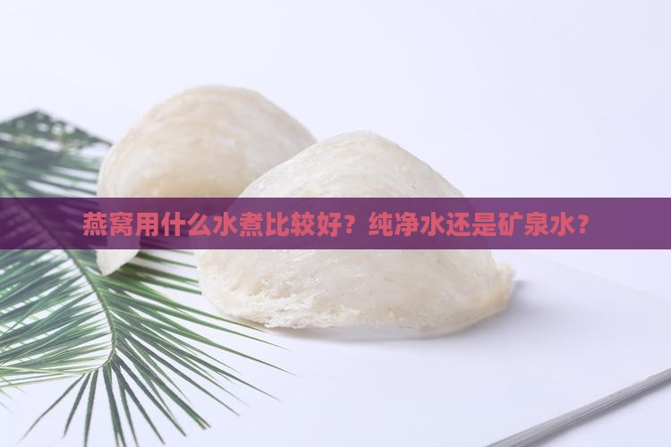 燕窝需要什么水煮比较好