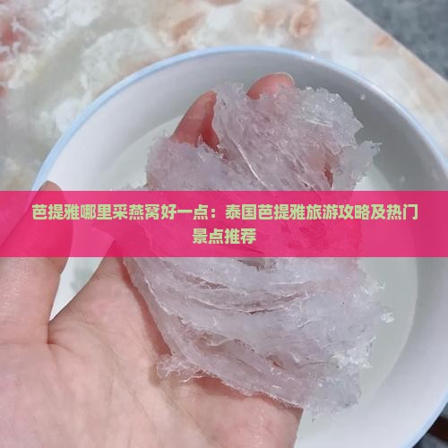 芭提雅哪里采燕窝好一点
