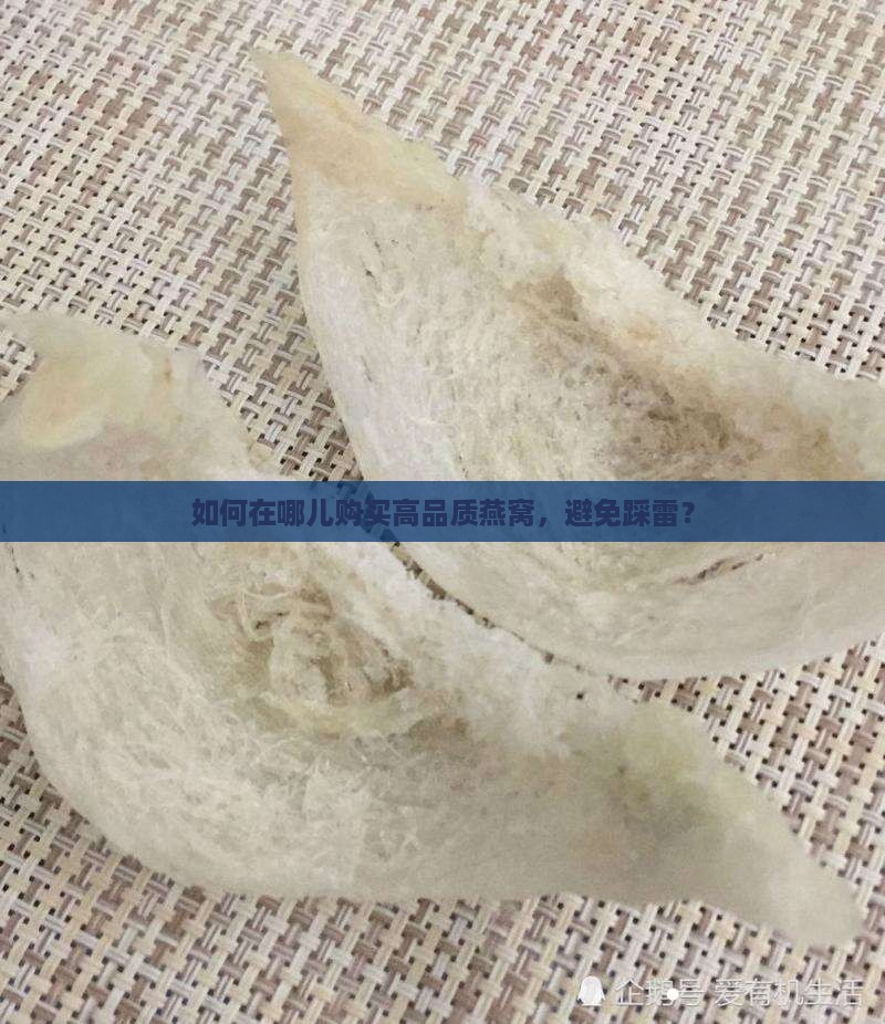燕窝去什么地方买好一点