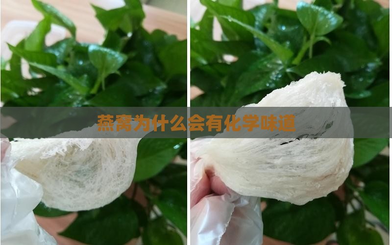 燕窝有化学味是怎么回事
