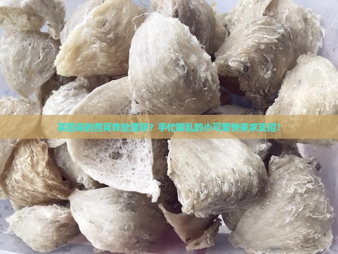 买回的燕窝怎么处理好