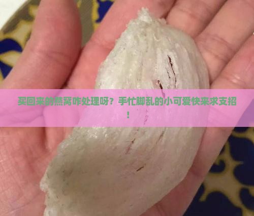 买回的燕窝怎么处理好