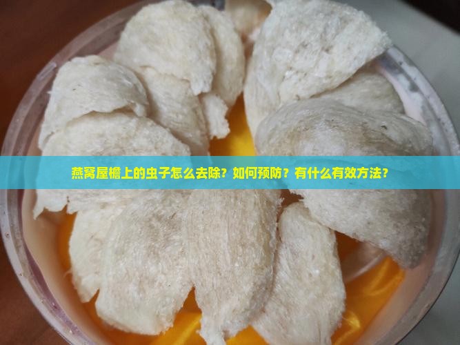 燕窝屋檐上的虫子怎么去除