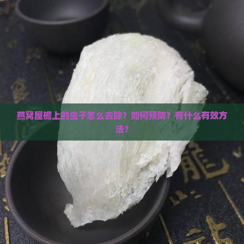 燕窝屋檐上的虫子怎么去除