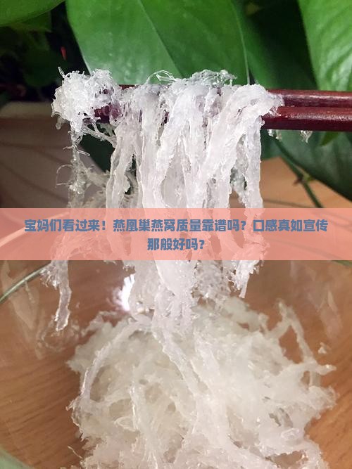 燕凰巢燕窝质量怎么样