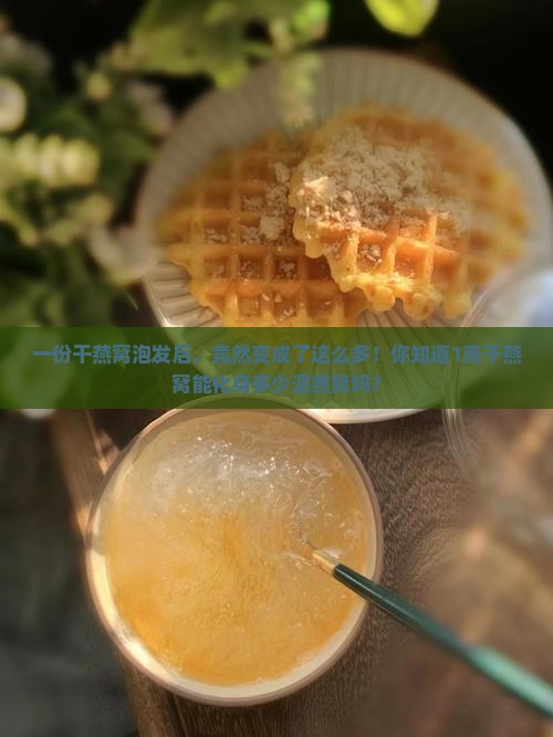 1g干品燕窝等于多少湿品燕窝