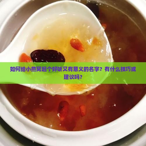 小燕窝名字怎么起好听的
