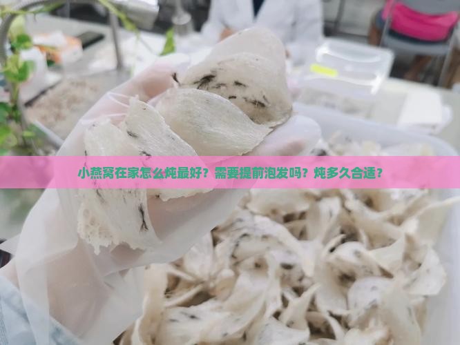 小燕窝在家怎么炖最好呢