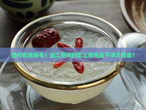 加工燕窝怎么挑毛发的