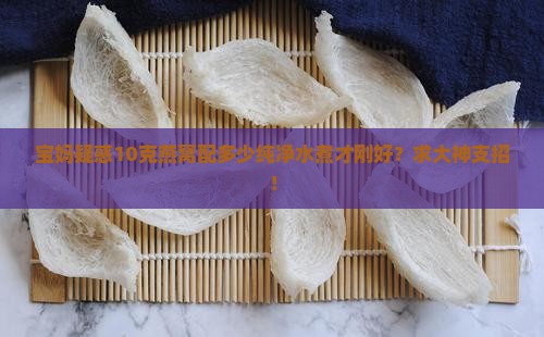 10克燕窝放多少纯净水