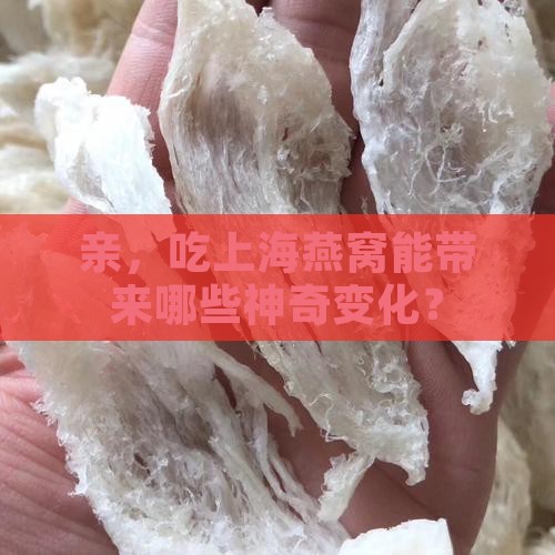 服用海燕窝有什么功效