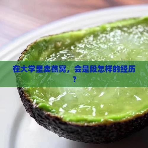 在大学里卖燕窝怎么样