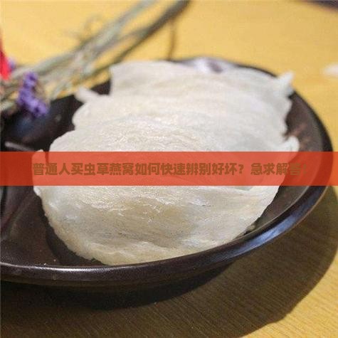 虫草燕窝怎么识别好坏啊 虫草燕窝怎么识别好坏啊