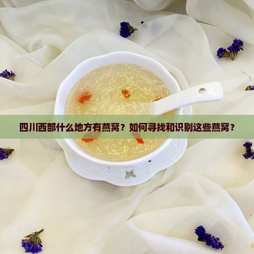 四川西部什么地方有燕窝