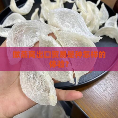 做燕窝出口贸易怎么样呢