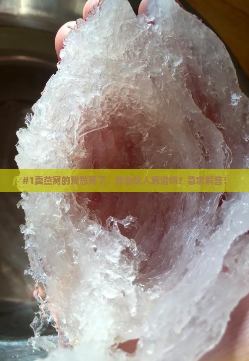 卖燕窝找合伙人怎么样呢