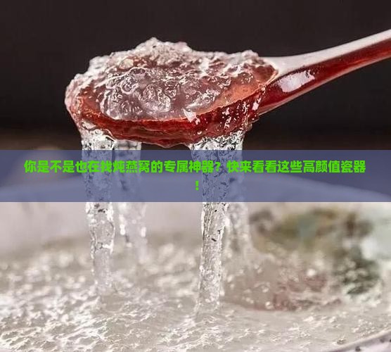 炖燕窝专用瓷器有哪些