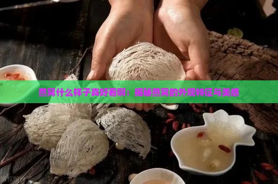 燕窝什么样子真好看啊 燕窝什么样子真好看啊