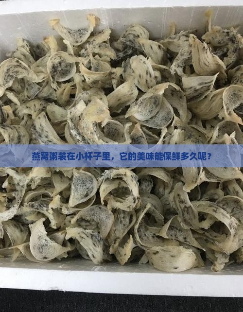 燕窝粥小杯子能放多久