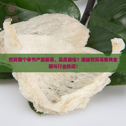 燕窝什么季节产的最好