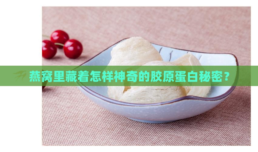 燕窝中怎么提取胶原蛋白