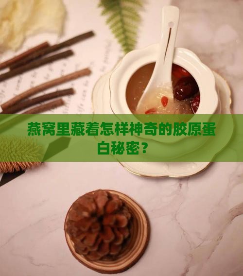 燕窝中怎么提取胶原蛋白