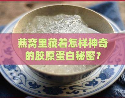 燕窝中怎么提取胶原蛋白