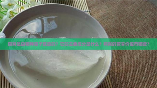 燕窝是燕子的什么组成的