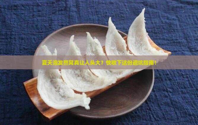 夏季怎么泡发燕窝好呢