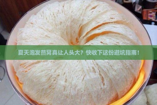 夏季怎么泡发燕窝好呢