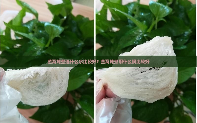 燕窝炖煮选什么水比较好