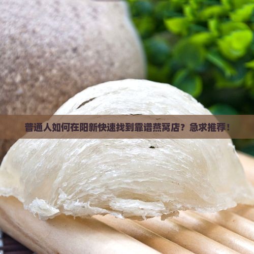 阳新燕窝专卖店在哪里啊
