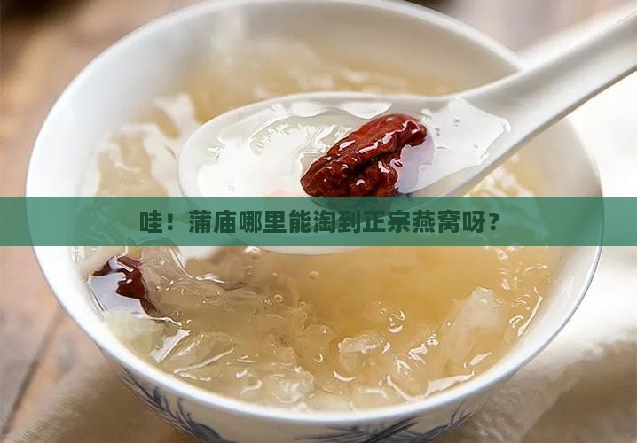 蒲庙在哪里有燕窝卖呀