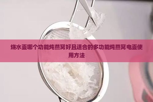 烧水壶哪个功能炖燕窝