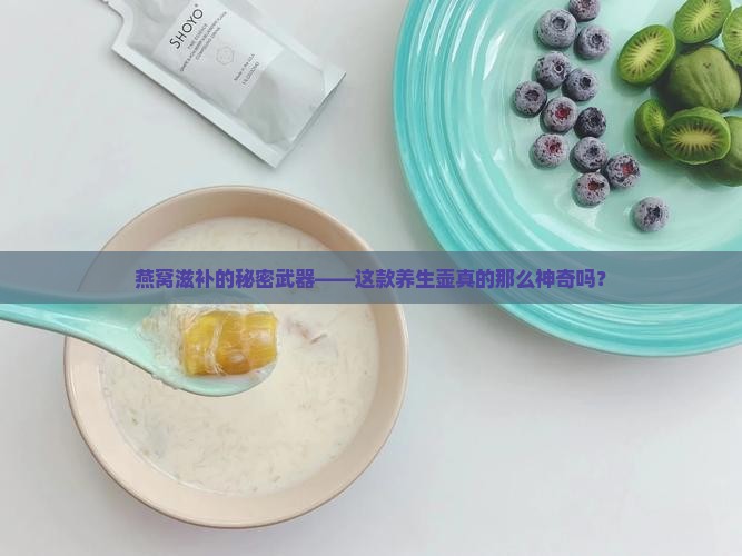 燕窝专用养生壶怎么样
