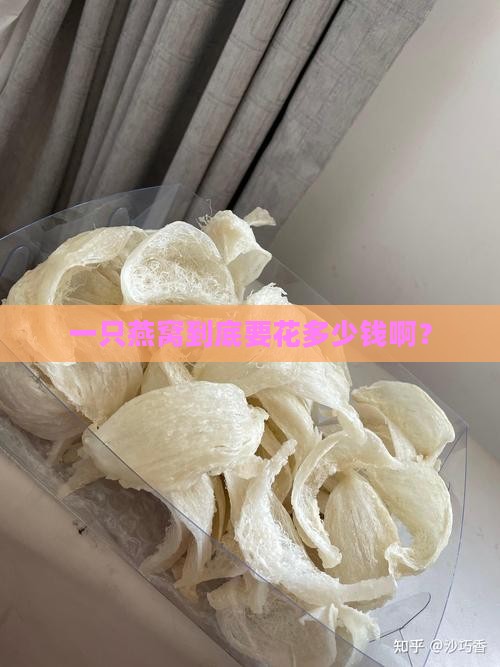 燕窝一般要多少钱一只呀