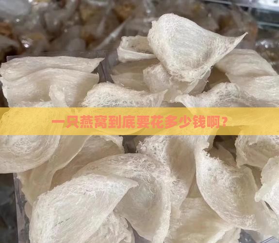 燕窝一般要多少钱一只呀