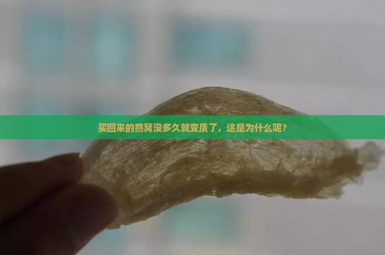 燕窝放一下就坏怎么办