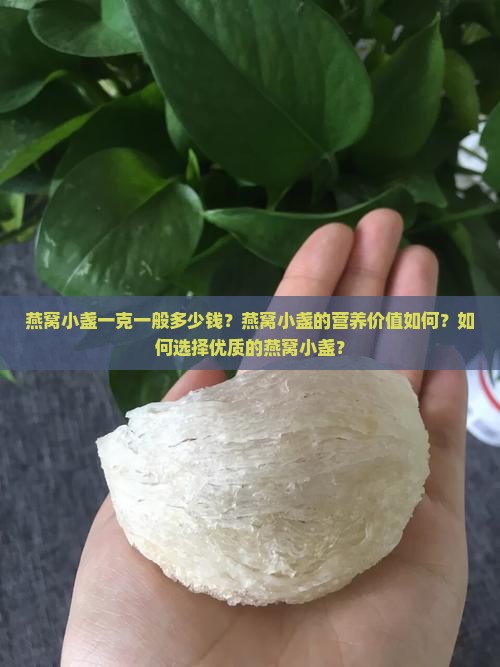 燕窝小盏一克一般多少钱