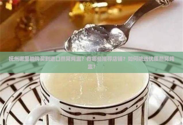 抚州进口燕窝炖盅哪里买