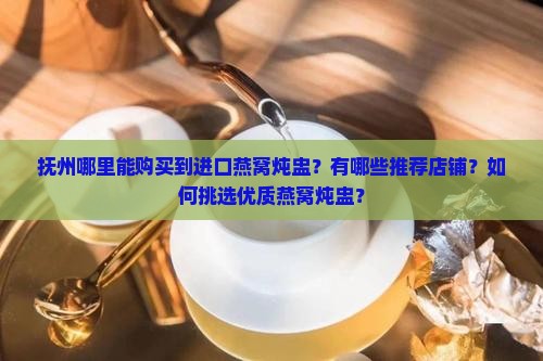 抚州进口燕窝炖盅哪里买