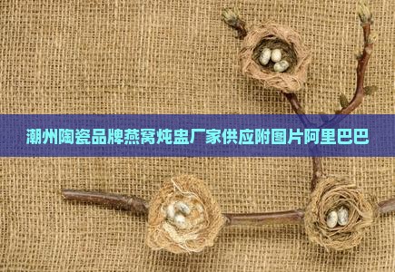 潮州燕窝炖盅哪里有卖